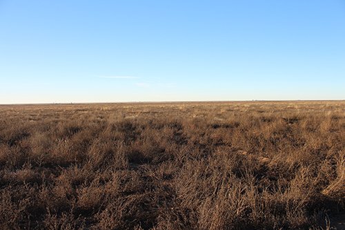 TRACT 2 - REAL ESTATE & MINERAL AUCTION - 640+/- ACRES & PRODUCING MINERALS OFFERED IN 8 TRACTS IN MORTON COUNTY, KANSAS